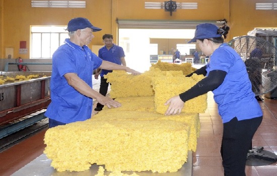 Cao su xuất khẩu tăng cả lượng và giá trị nhưng thị phần tại Mỹ sụt giảm
